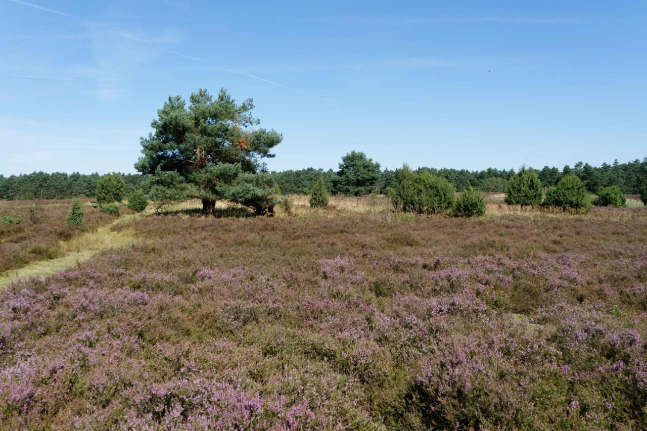 Camping-Aller-Leine-Tal Engehausen 외부 사진